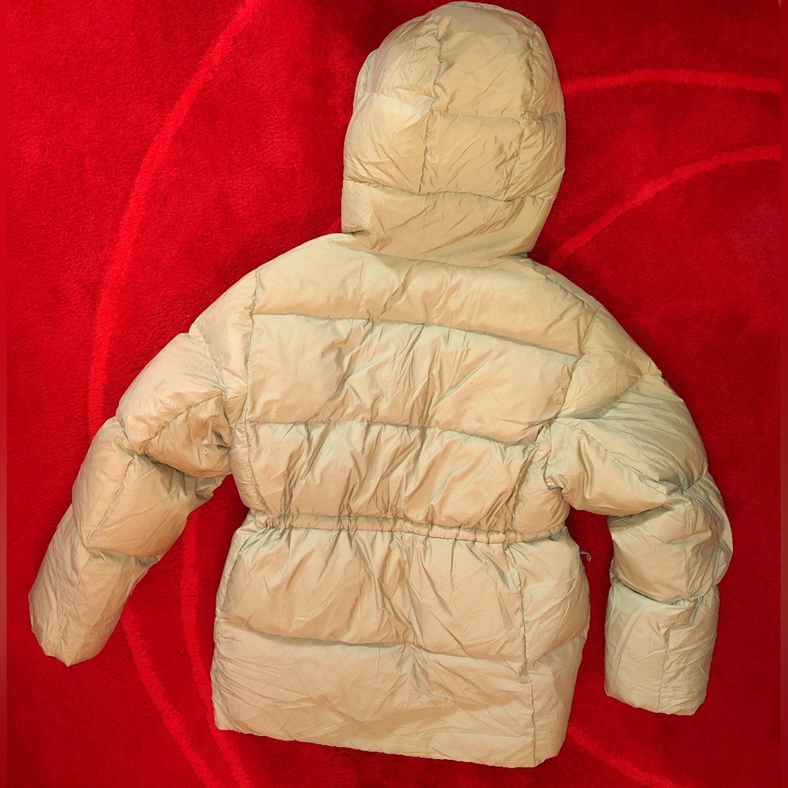 Wilfred Laramie Goose down Hooded Puffer  In mint Sz S