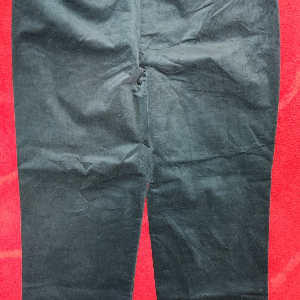 J. Crew Lush Green Velour Straight Leg Pants Sz 14 NWT