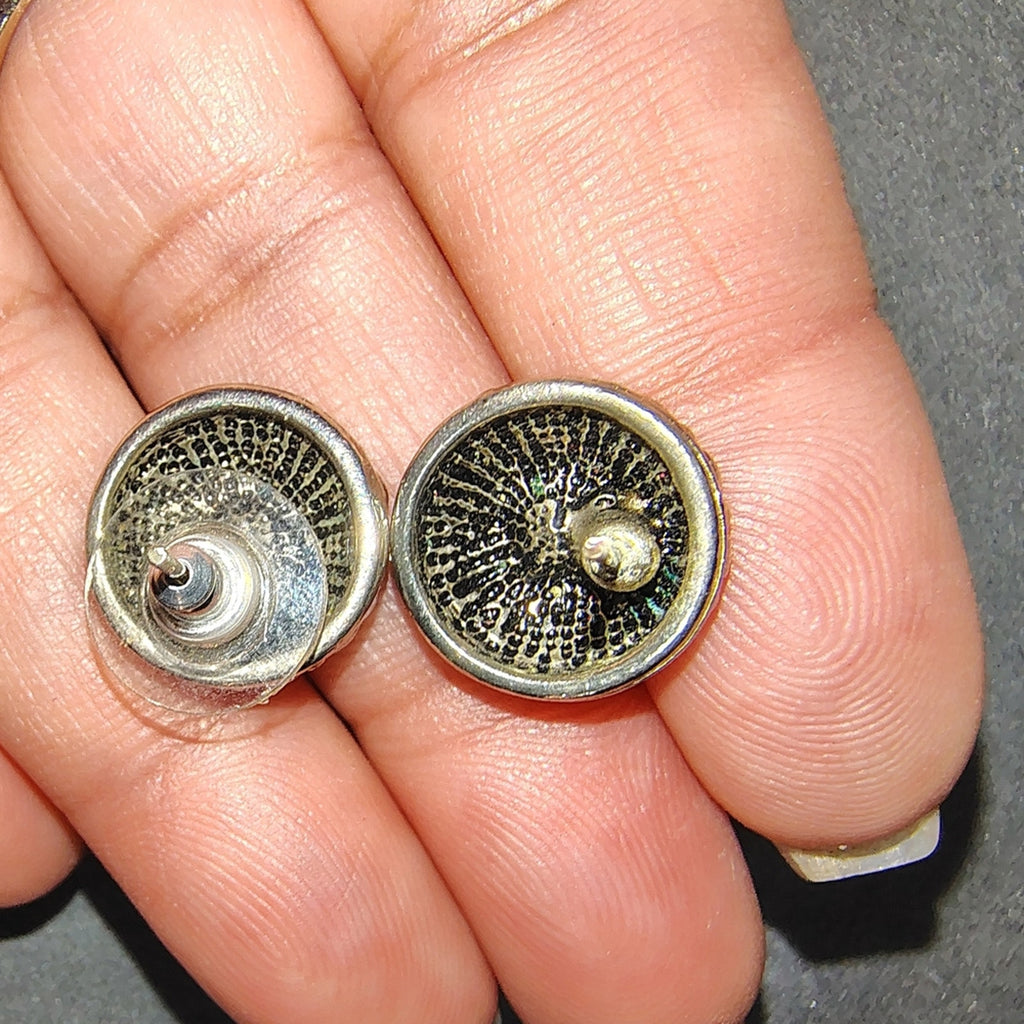 Elegant Silver Stud Earrings