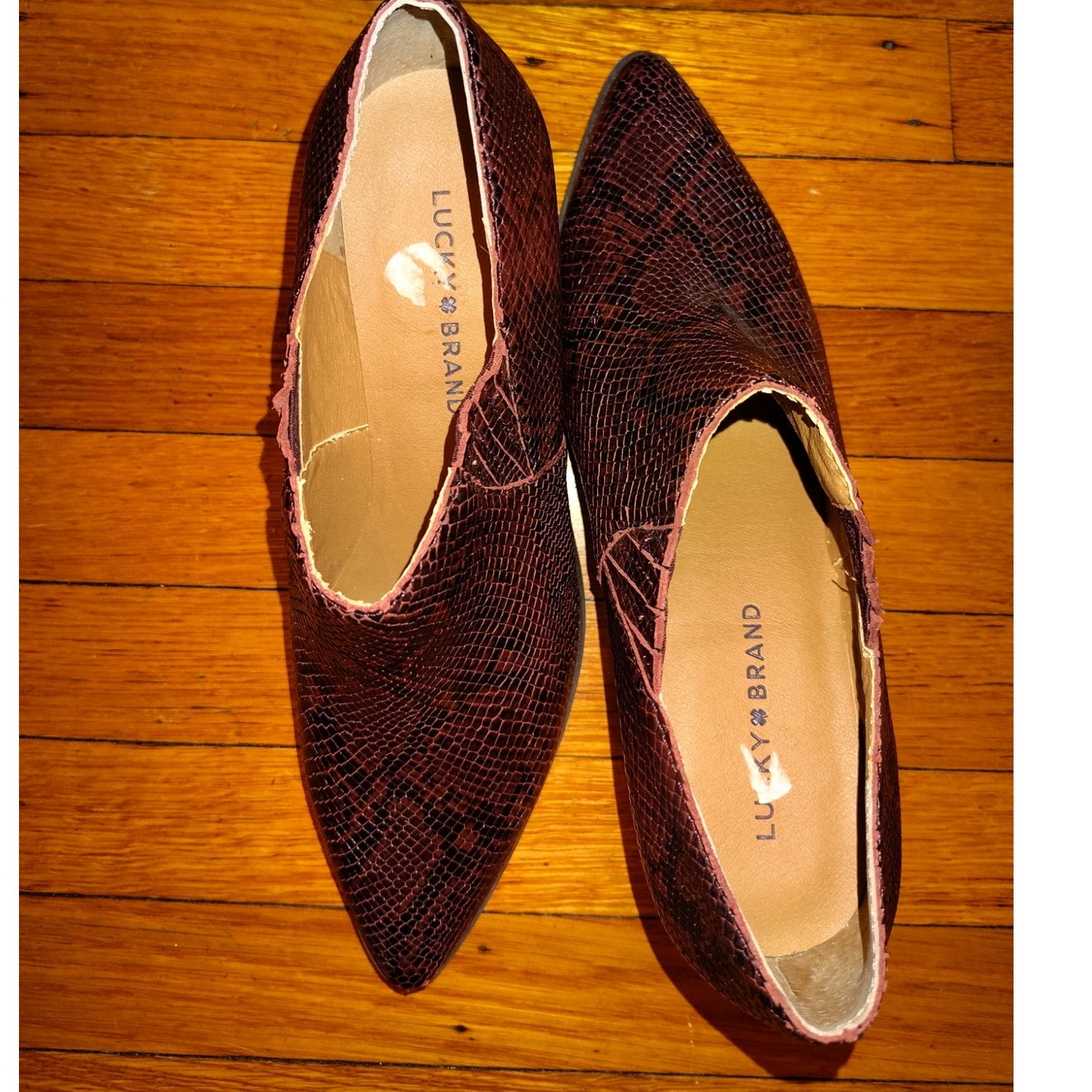 Lucky Brand NWOT Tabea Snakeskin Booties Sz 9.5