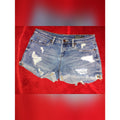 Blank NYC Tomboy Distressed Denim Shorts Sz 28